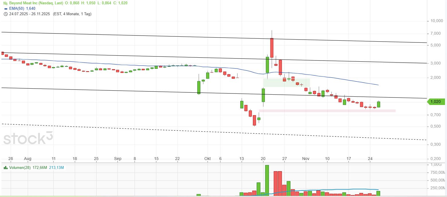 beyondmeat_2025-11-27.png