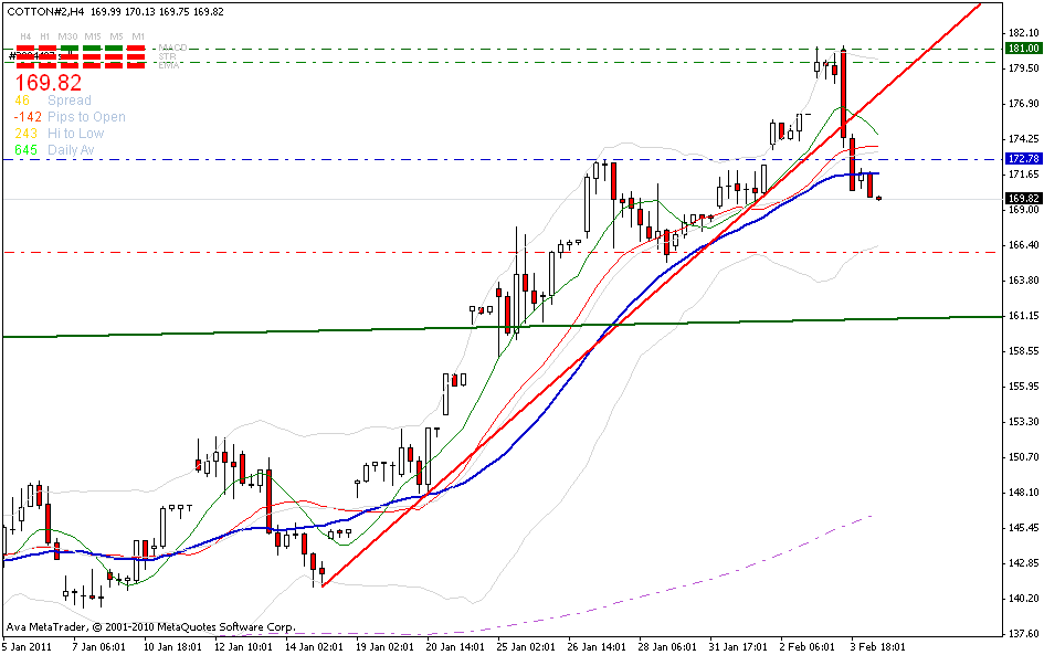 cotton-240_min-trend-kannte-4-2.gif